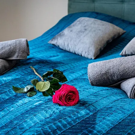 Bohemian Luxe 아파트